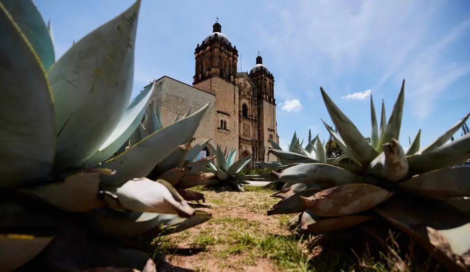 church and convent of Santo Domingo in Oaxaca